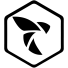 ACE Consulting